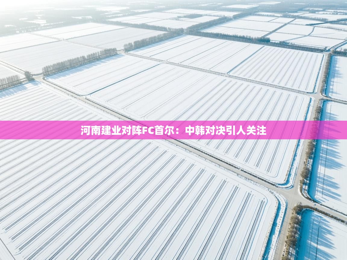 河南建业对阵FC首尔：中韩对决引人关注
