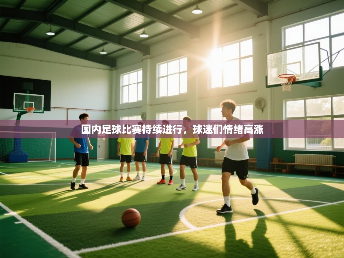 国内足球比赛持续进行，球迷们情绪高涨